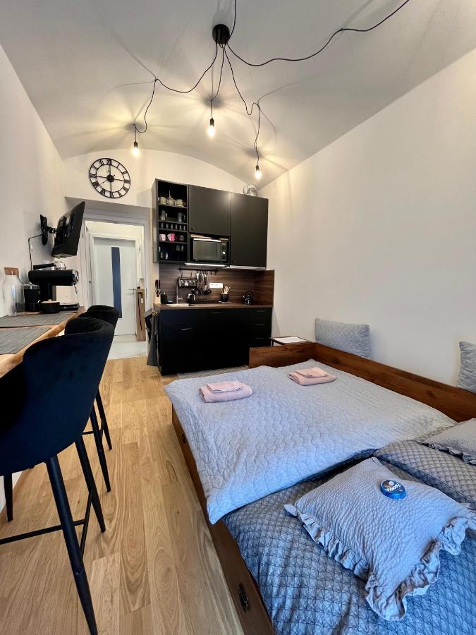 Studio V Prizemi S Kuchyni A Koupelnou Prag Exteriör bild