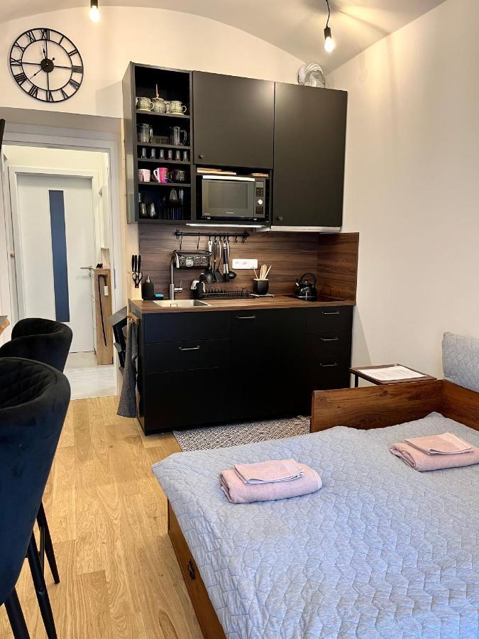 Studio V Prizemi S Kuchyni A Koupelnou Prag Exteriör bild